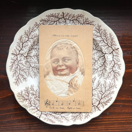 1880s Peek-a-Boo, Hold to the Light, Trade Card Mellin's Food for Infants and Invalids
