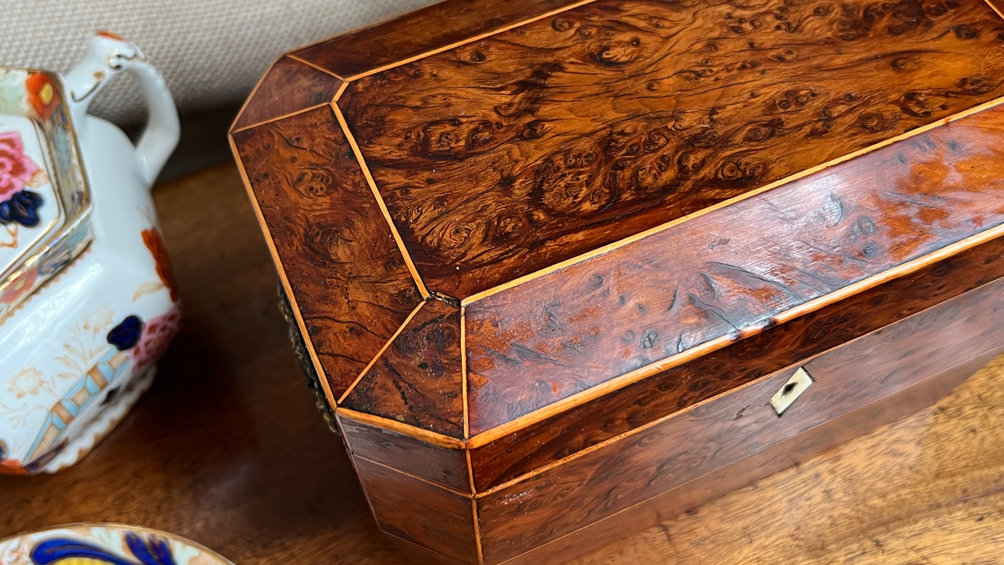 19th Century English Regency Burl Walnut Tea Caddy