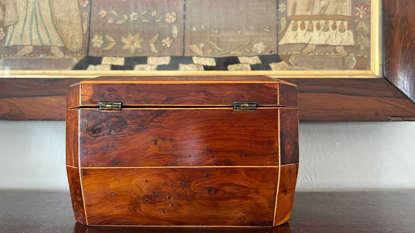 19th Century English Regency Burl Walnut Tea Caddy