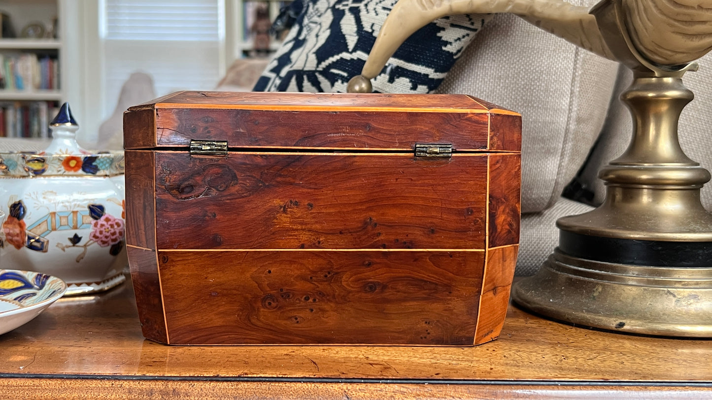 19th Century English Regency Burl Walnut Tea Caddy