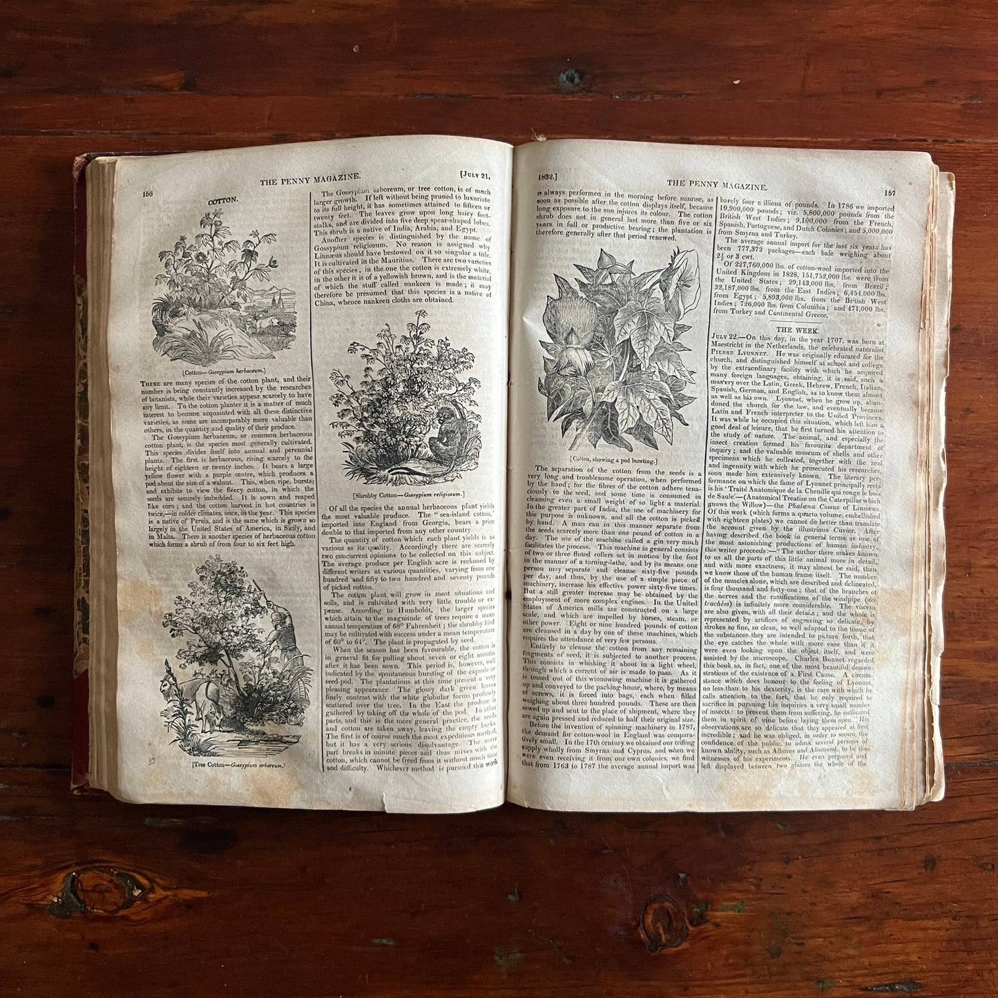 The Penny Magazine - Hardcover Bound Volume 1832