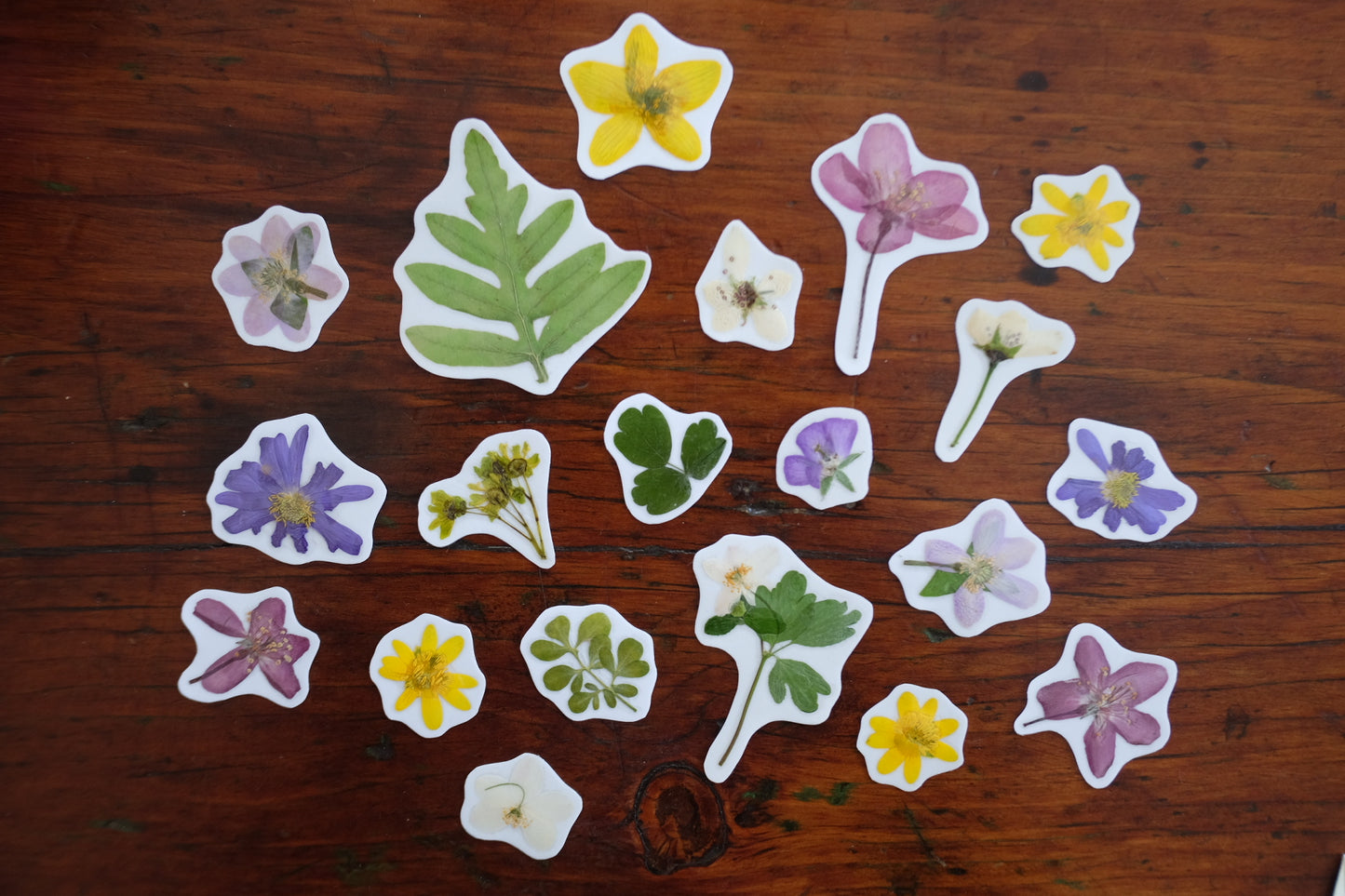 Pressed Flower Stickers