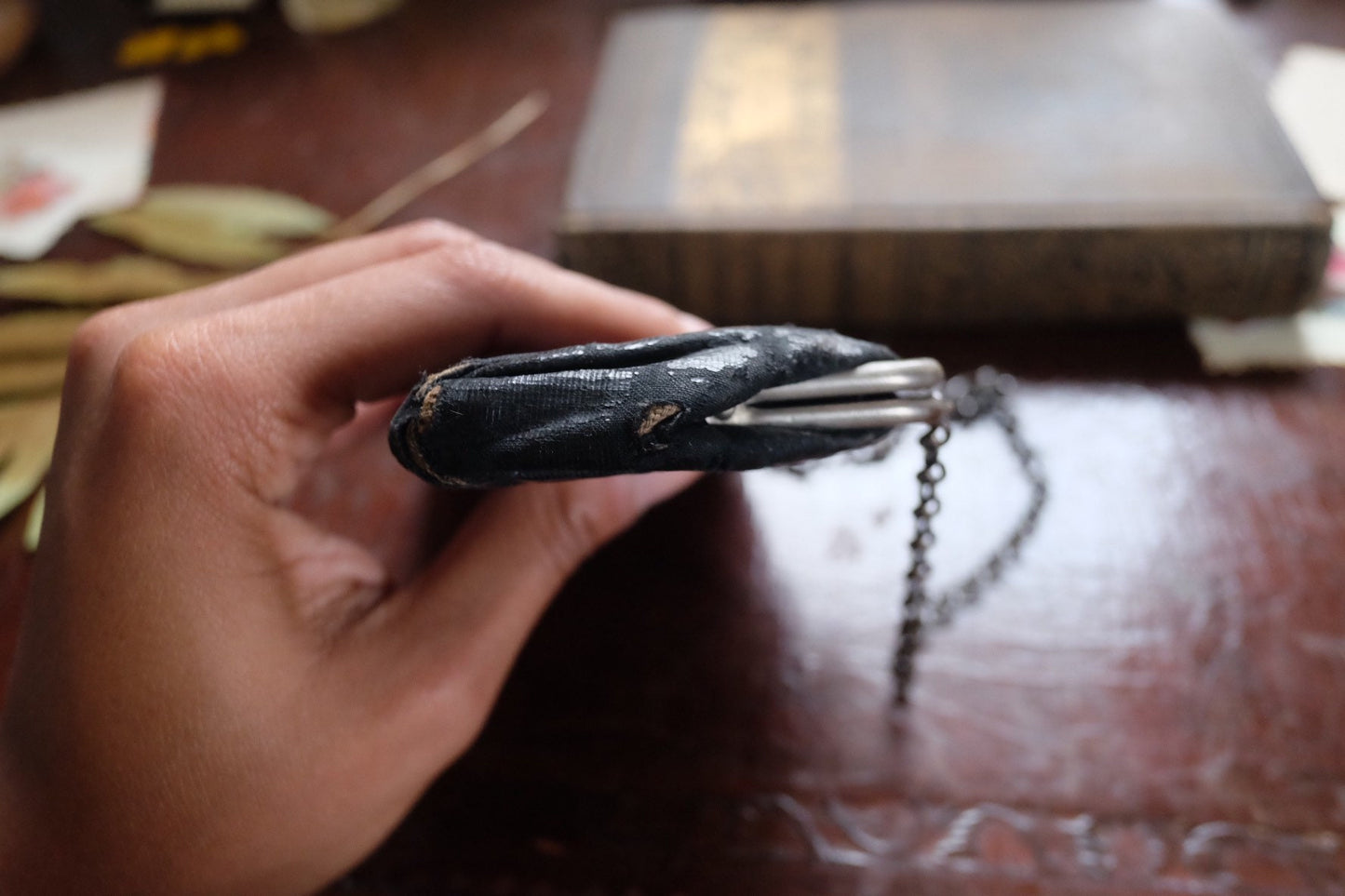 Victorian Kiss Lock Purse