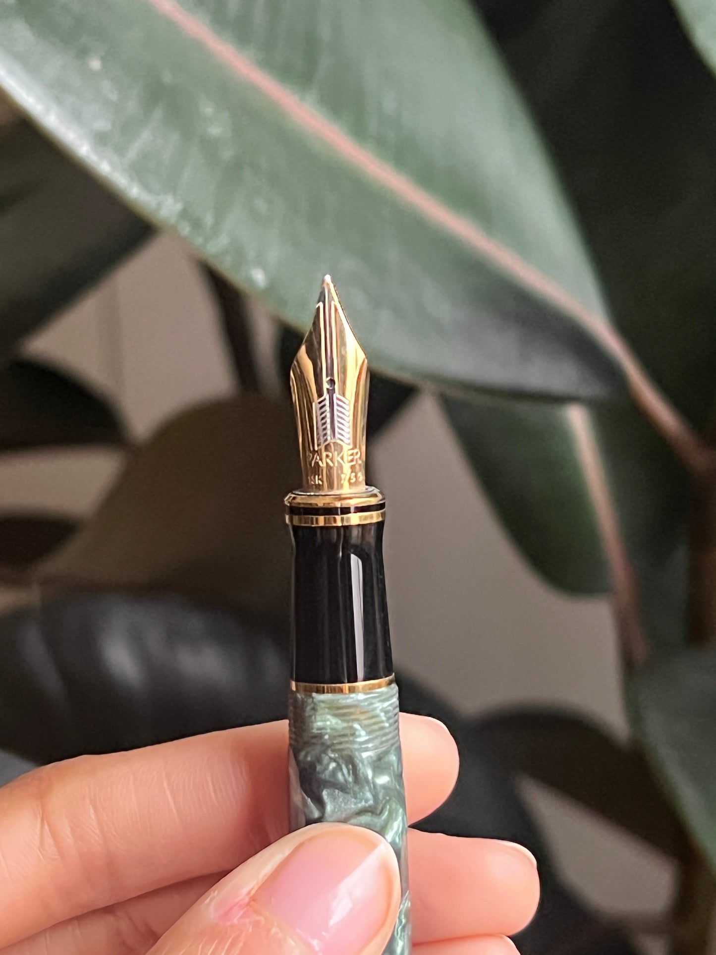 Parker Duofold Fountain Pen Set in Marble Green 18kt Gold M Nib