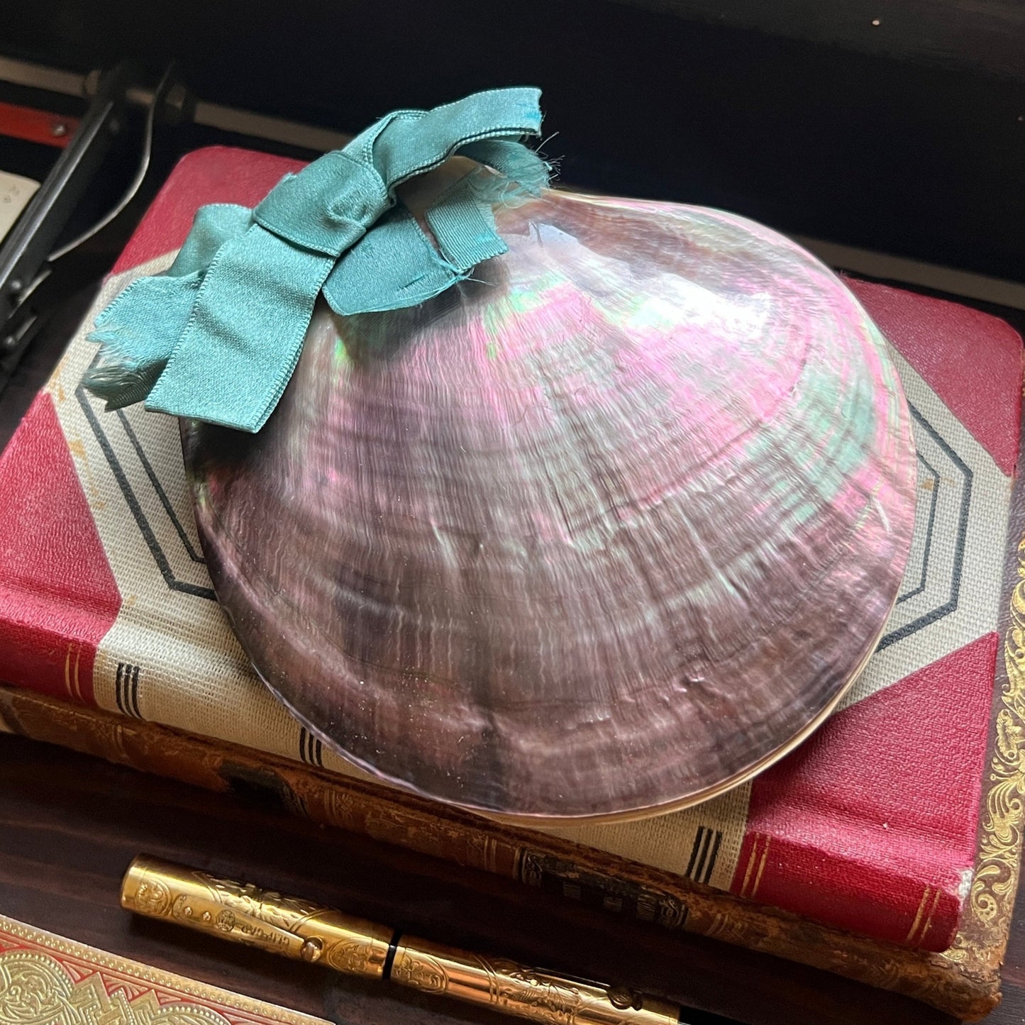 Antique Victorian Seaweed Herbarium in Scallop Shell Case - Pressed Seaweed Specimens
