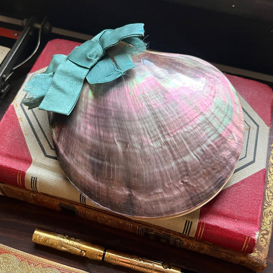 Antique Victorian Seaweed Herbarium in Scallop Shell Case - Pressed Seaweed Specimens