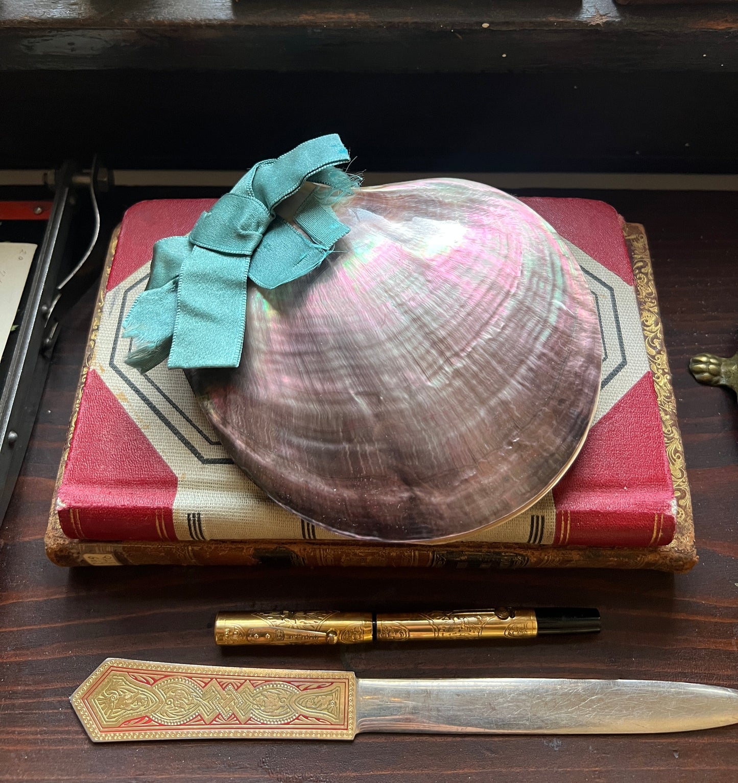 Antique Victorian Seaweed Herbarium in Scallop Shell Case - Pressed Seaweed Specimens