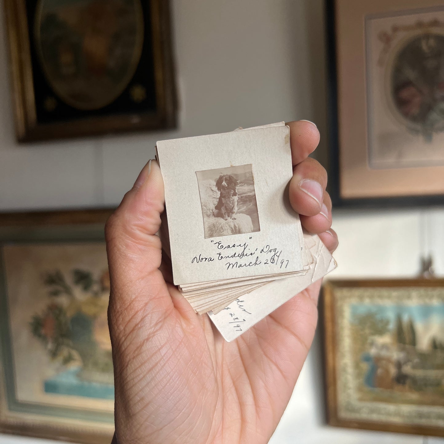 Victorian 1890's Classmate Photo Cards