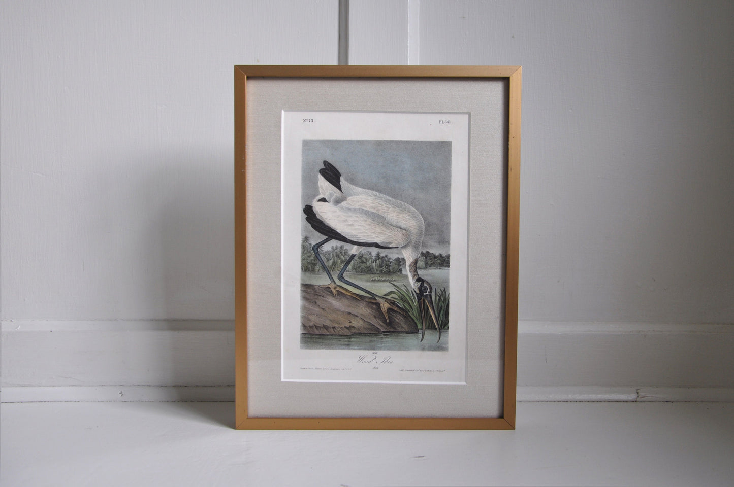 Audubon 1st Ed. Octavo Pl. 361 Wood Ibis