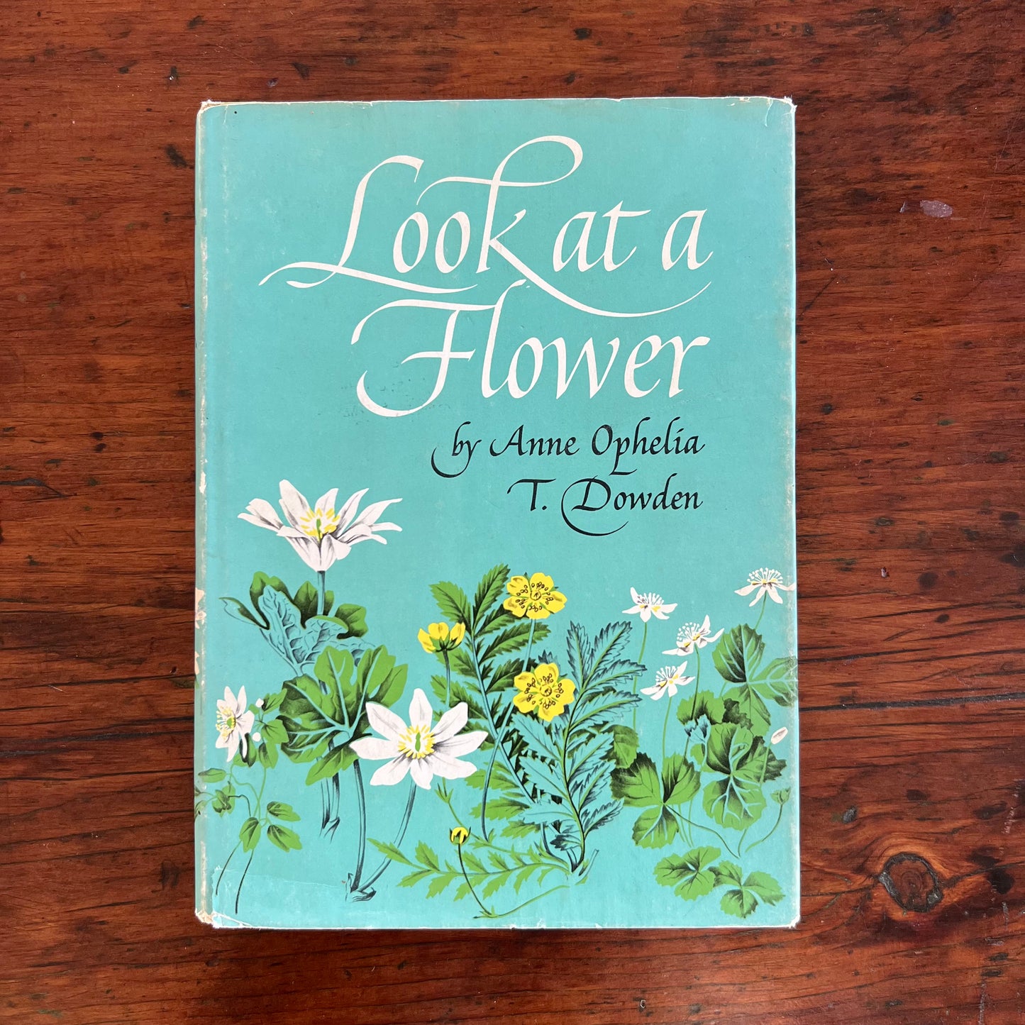 Look at a Flower By Anne Ophelia T. Dowden First Ed. 1963