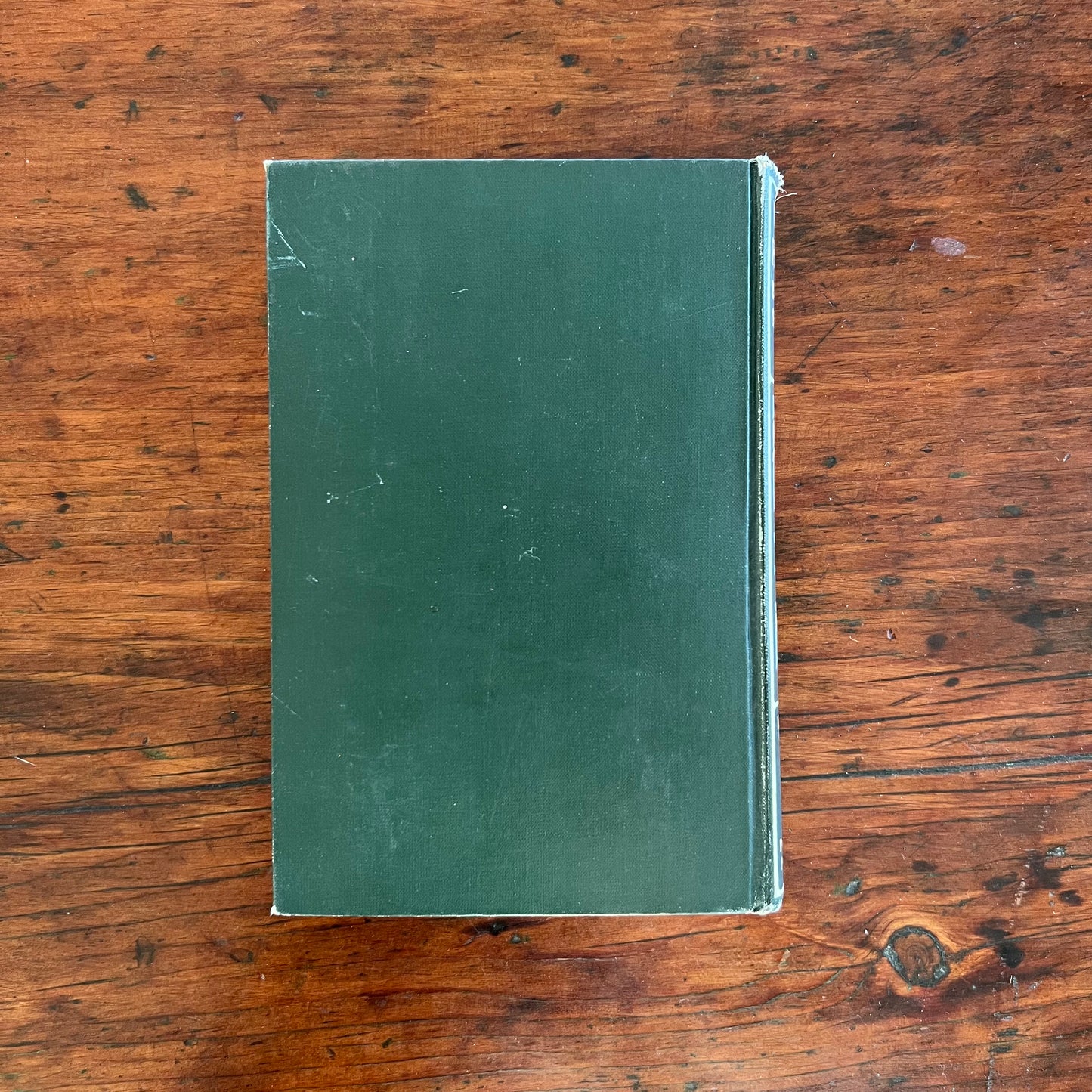 Wild Flowers Every Child Should Know 1st Ed. By Frederic William Stack